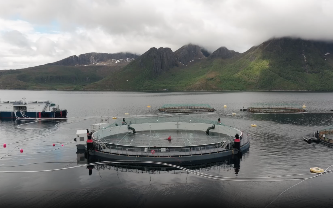 Aquafarmen Norway